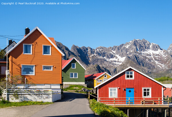 Norwegian Houses Lofoten Islands Norway Picture Board by Pearl Bucknall