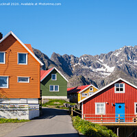 Buy canvas prints of Norwegian Houses Lofoten Islands Norway by Pearl Bucknall