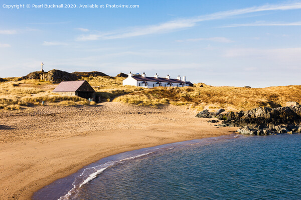 Llanddwyn Island Cottages Anglesey Picture Board by Pearl Bucknall