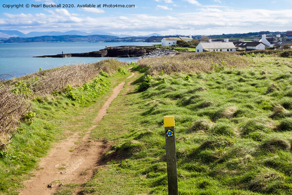 Anglesey Coast Path to Moelfre Picture Board by Pearl Bucknall