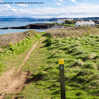 Buy canvas prints of Anglesey Coast Path to Moelfre by Pearl Bucknall
