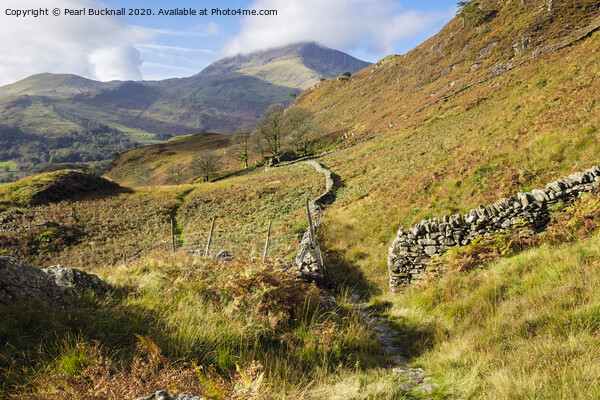 Leading to Moel Hebog in Snowdonia Picture Board by Pearl Bucknall