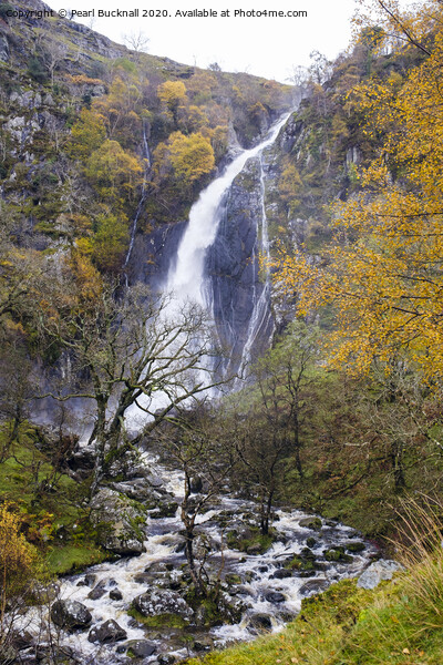 Autumn at Aber Falls Waterfall Snowdonia Picture Board by Pearl Bucknall