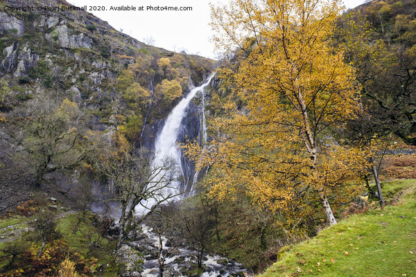 Autumn at Aber Falls Waterfall Snowdonia Picture Board by Pearl Bucknall
