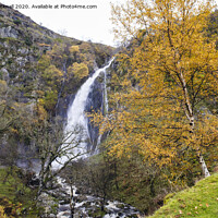 Buy canvas prints of Autumn at Aber Falls Waterfall Snowdonia by Pearl Bucknall