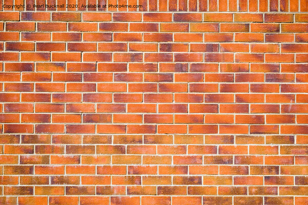 Brick Wall Picture Board by Pearl Bucknall