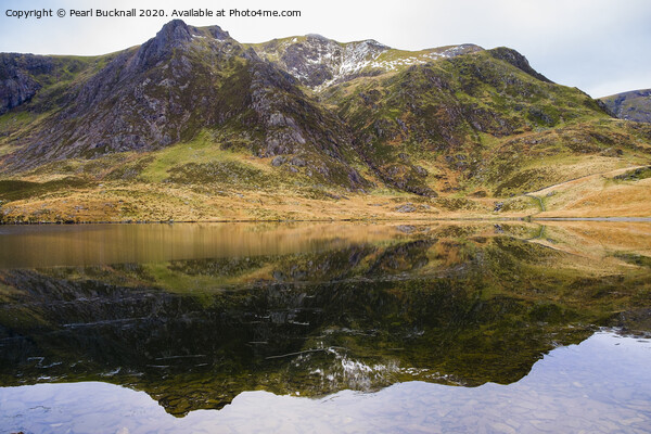 Llyn Idwal Lake Reflecting Y Garn in Snowdonia Picture Board by Pearl Bucknall