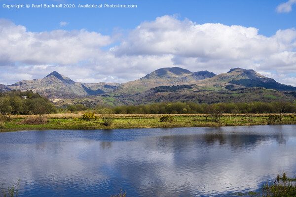 Cnicht and the Moelwyns Across Afon Glaslyn River Picture Board by Pearl Bucknall
