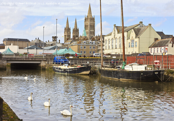 Swans and Cathedral Spires in Truro Picture Board by Pearl Bucknall