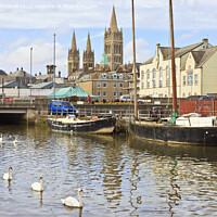 Buy canvas prints of Swans and Cathedral Spires in Truro by Pearl Bucknall
