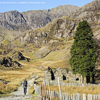 Buy canvas prints of Walking the Watkin Path to Snowdon by Pearl Bucknall