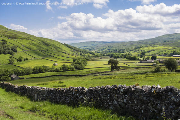 Upper Swaledale valley in Yorkshire Dales Picture Board by Pearl Bucknall