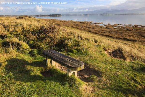 Bench on the Shores of the Menai Strait Anglesey Picture Board by Pearl Bucknall