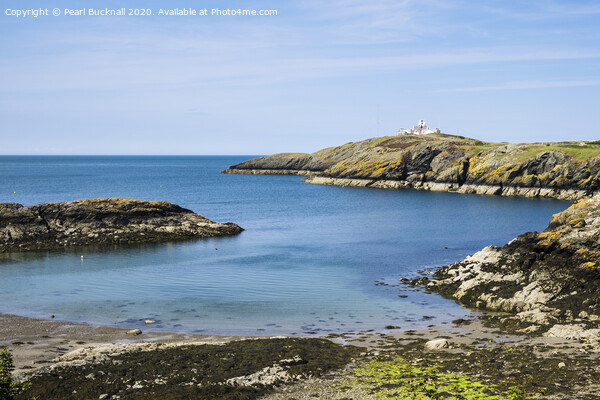 Calm in Porth Eilian Anglesey Picture Board by Pearl Bucknall