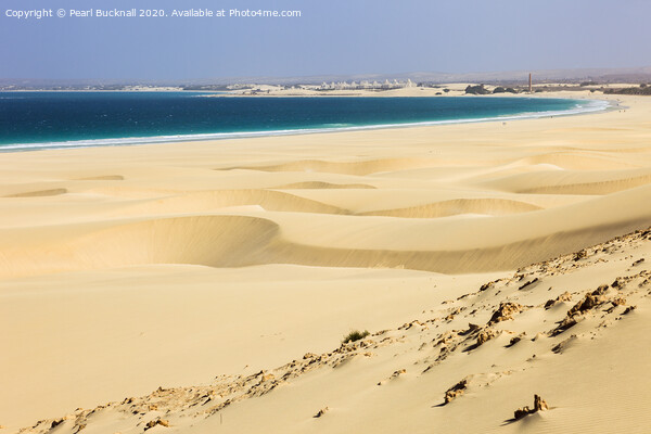 Praia de Chaves Dunes Cape Verde Picture Board by Pearl Bucknall