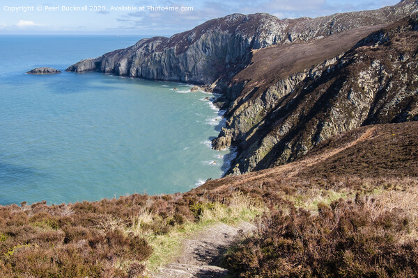 Gogarth Bay and North Stack Anglesey Picture Board by Pearl Bucknall