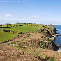 Buy canvas prints of Anglesey Coastal Path near Benllech by Pearl Bucknall