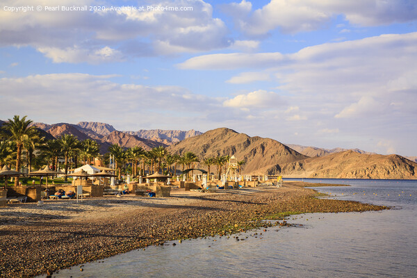 Taba Heights Beach Egypt Picture Board by Pearl Bucknall
