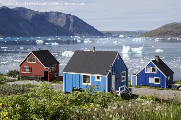 Narsaq Houses Greenland Picture Board by Pearl Bucknall
