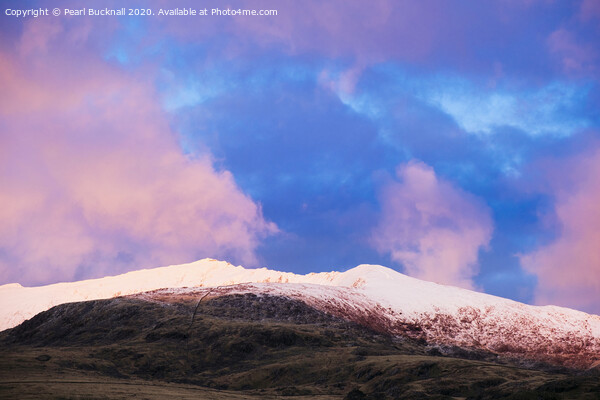 Snowdon in the Pink at Sunset Picture Board by Pearl Bucknall