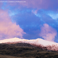 Buy canvas prints of Snowdon in the Pink at Sunset by Pearl Bucknall