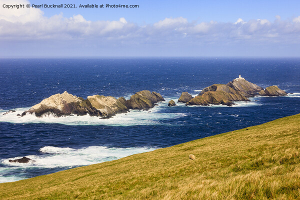 Muckle Flugga Lighthouse on Shetland Isles Picture Board by Pearl Bucknall