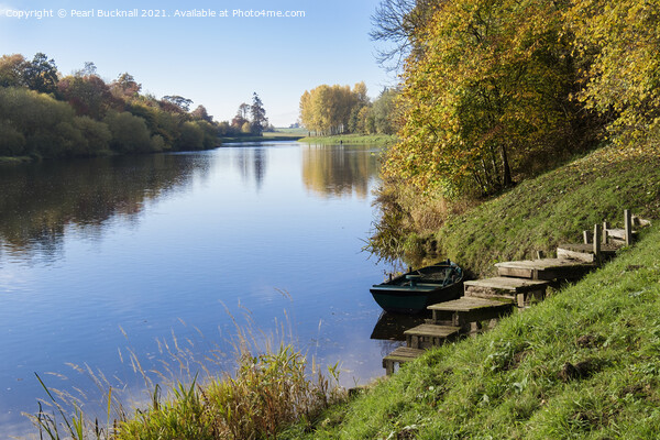 River Tweed in Autumn Scottish Borders Scotland Picture Board by Pearl Bucknall