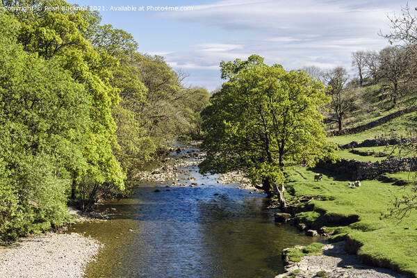 River Wharfe at Kettlewell in Yorkshire Picture Board by Pearl Bucknall