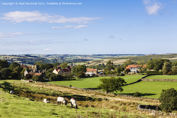 Goathland North Yorkshire Moors Picture Board by Pearl Bucknall
