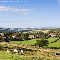 Buy canvas prints of Goathland North Yorkshire Moors by Pearl Bucknall