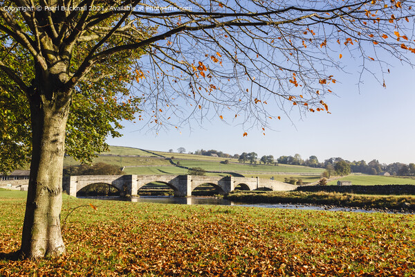 Burnsall in Autumn Yorkshire Dales Picture Board by Pearl Bucknall