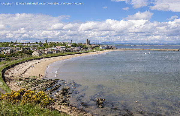 St Andrews East Sands Beach Scotland Picture Board by Pearl Bucknall