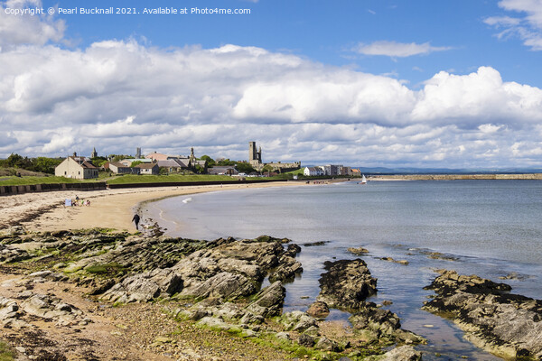 Rocky Coast St Andrews East Sands Beach Scotland Picture Board by Pearl Bucknall
