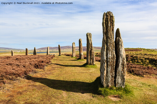 Ring of Brodgar on Orkney Picture Board by Pearl Bucknall