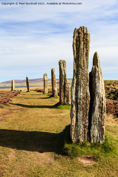 Ring of Brodgar on Orkney Picture Board by Pearl Bucknall