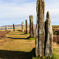 Buy canvas prints of Ring of Brodgar on Orkney by Pearl Bucknall