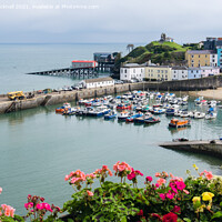 Buy canvas prints of Tenby Old Town and Harbour Pembrokeshire by Pearl Bucknall