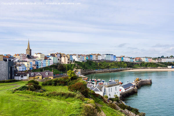 Tenby Seafront from Castle Hill Pembrokeshire Picture Board by Pearl Bucknall