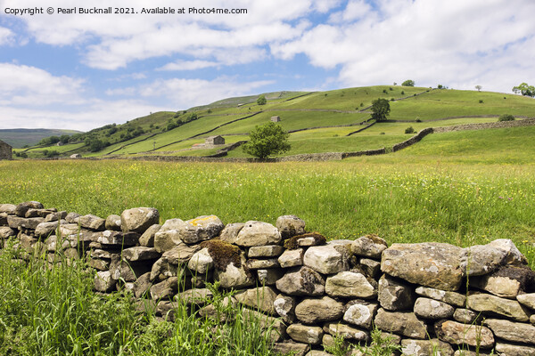 Swaledale Countryside in Yorkshire Dales Picture Board by Pearl Bucknall