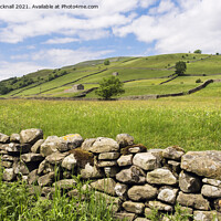 Buy canvas prints of Swaledale Countryside in Yorkshire Dales by Pearl Bucknall