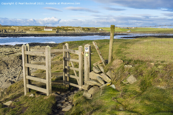 Anglesey Coast Path at Porth Cwyfan Picture Board by Pearl Bucknall