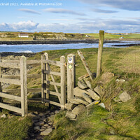 Buy canvas prints of Anglesey Coast Path at Porth Cwyfan by Pearl Bucknall