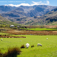 Buy canvas prints of Nant Ffrancon Valley View to Glyders in Snowdonia by Pearl Bucknall