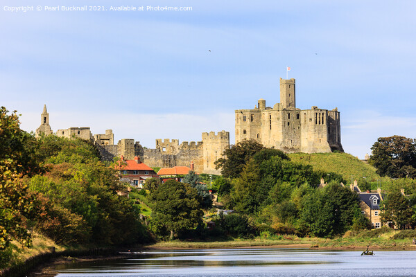 River Coquet and Warkworth Castle Picture Board by Pearl Bucknall