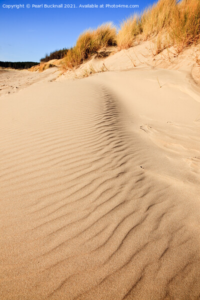 Patterns in Sand Dunes Picture Board by Pearl Bucknall