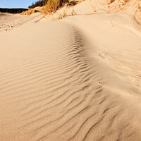 Buy canvas prints of Patterns in Sand Dunes by Pearl Bucknall