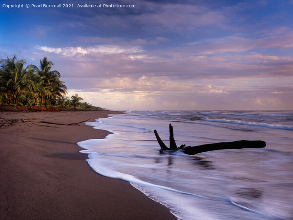 Tortuguero Beach at Sunrise Costa Rica Picture Board by Pearl Bucknall