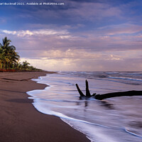 Buy canvas prints of Tortuguero Beach at Sunrise Costa Rica by Pearl Bucknall
