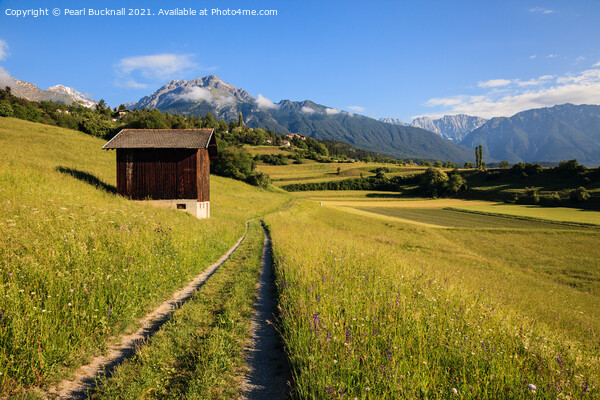 Alpine Valley in Summer Picture Board by Pearl Bucknall