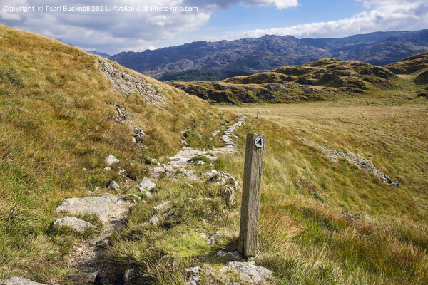 Upland Path in Snowdonia Picture Board by Pearl Bucknall